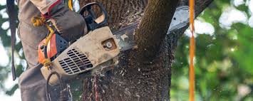 Best Lawn Watering Services  in Toppenish, WA